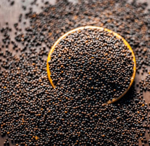 Mustard Seeds Images